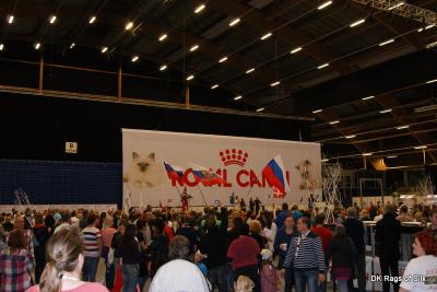 World Show skydes i gang