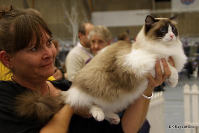 Hos dommer Anne Veland