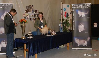 Ragdollklubbens stand