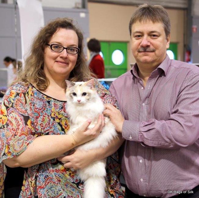 S*ElHeMas Magnolia, katteudstilling, ragdoll kat, dk rags of silk, champion, international champion